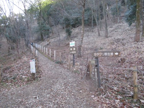 カタクリ登山口